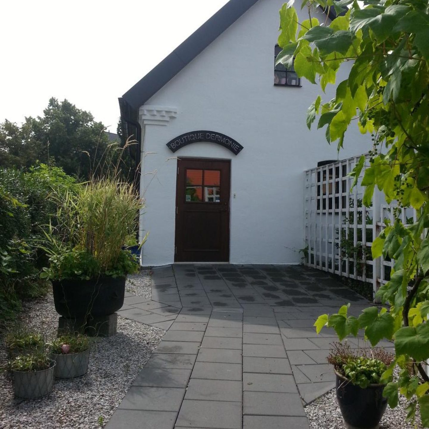 IMG_20240820_230052_342